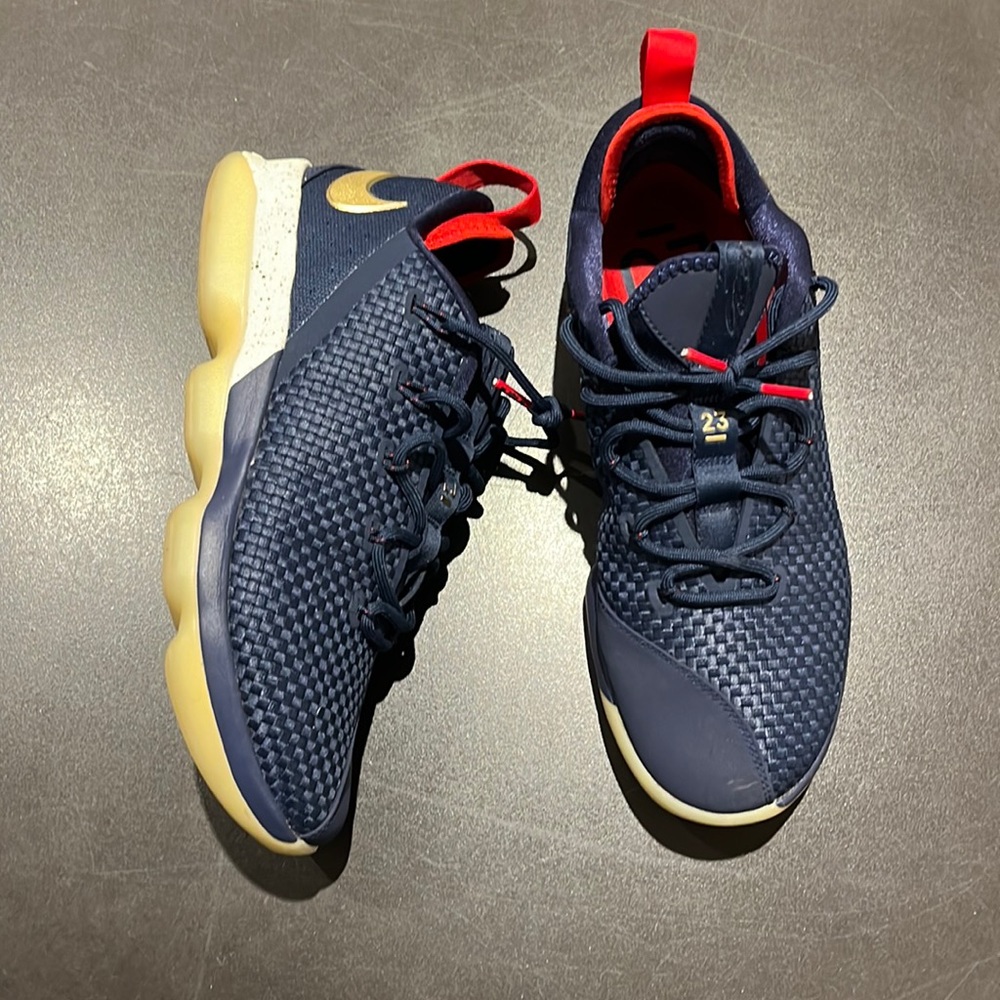 MENS NIKE LEBRON XIV LOW